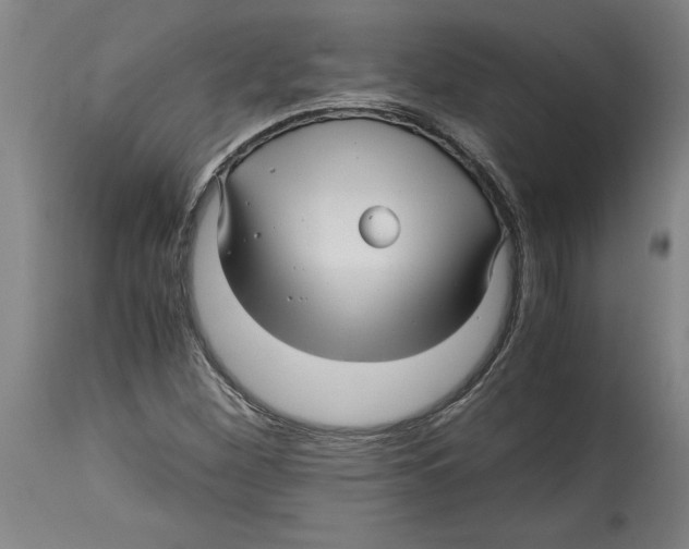 X0000114561260200911161215