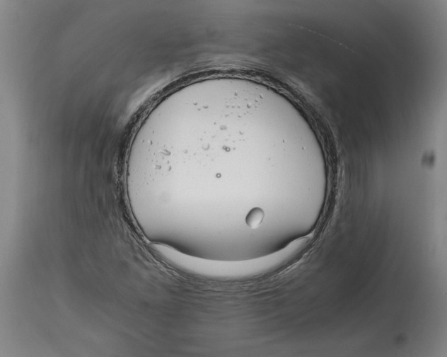 X0000114561261200911161215