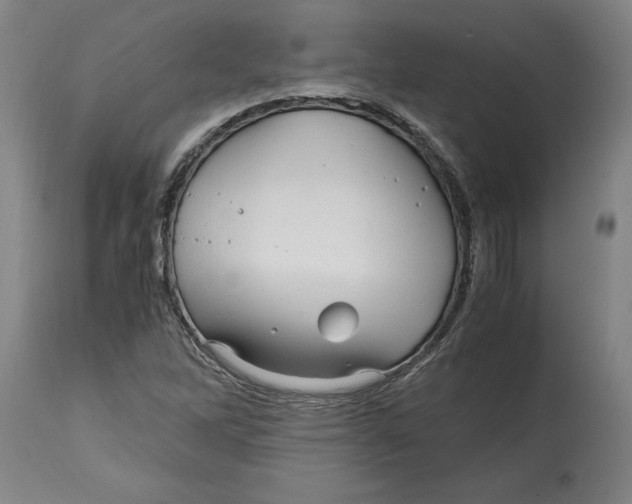 X0000114561262200911161215