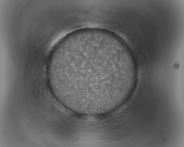 X0000114561263200911161215