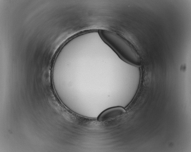 X0000114561268200911161215