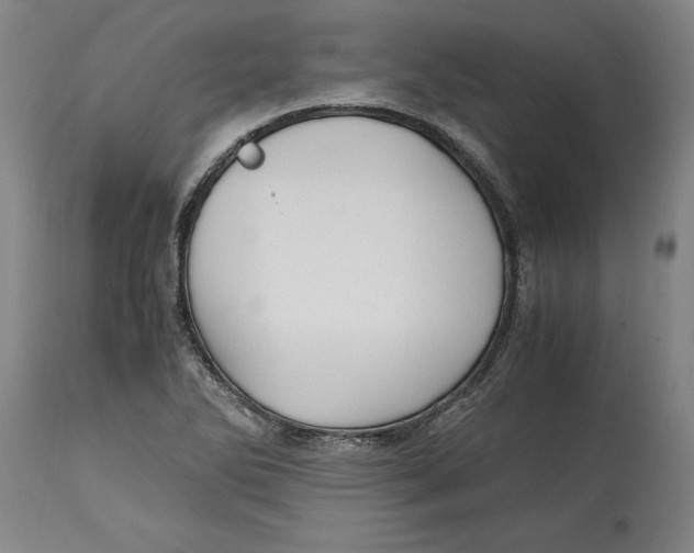 X0000114561270200911161215