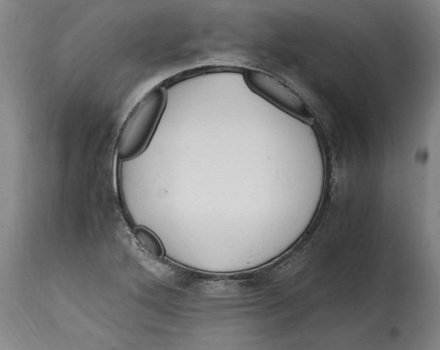 X0000114561272200911161215