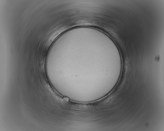 X0000114561273200911161215