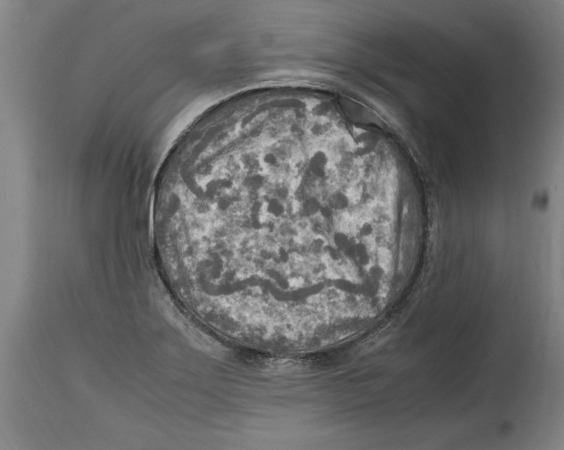 X0000114561275200911161215