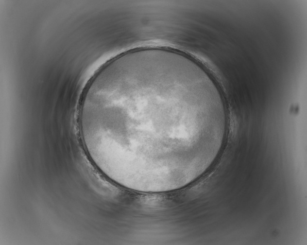 X0000114561278200911161215