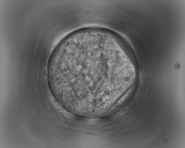X0000114561279200911161215