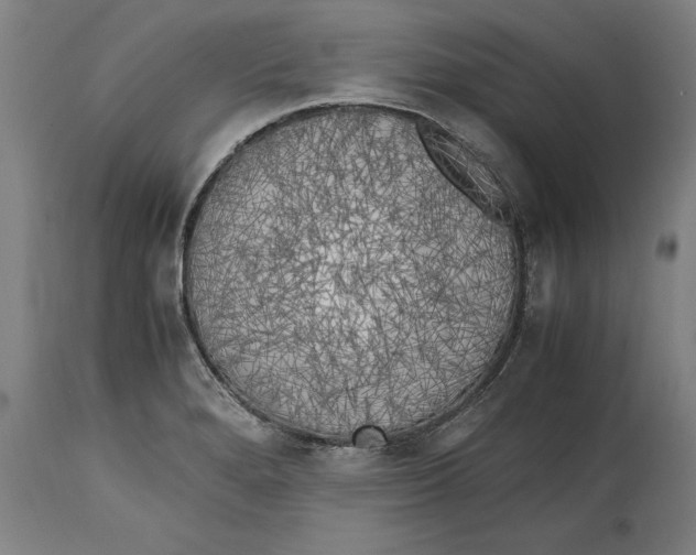 X0000114561280200911161215