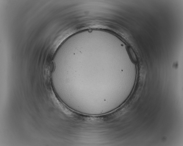 X0000114561281200911161215