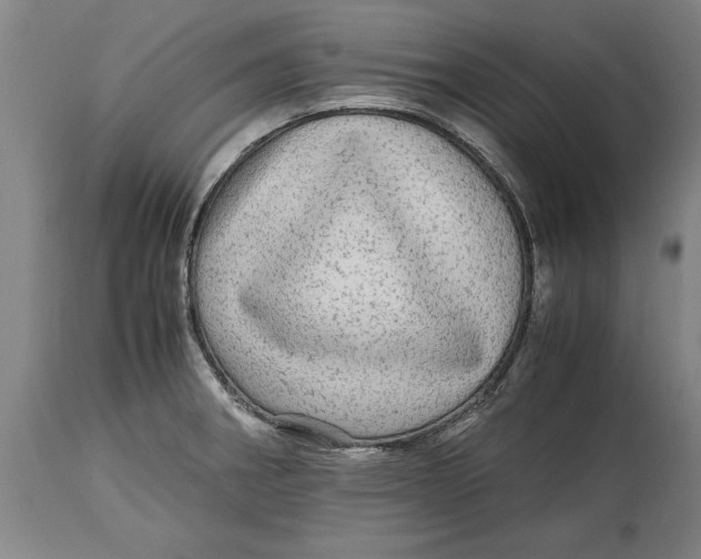 X0000114561282200911161215