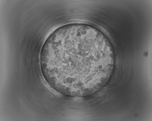 X0000114561283200911161215