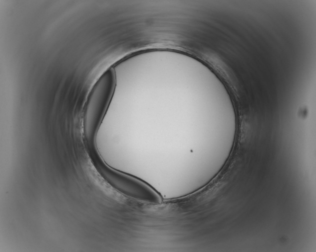 X0000114561284200911161215