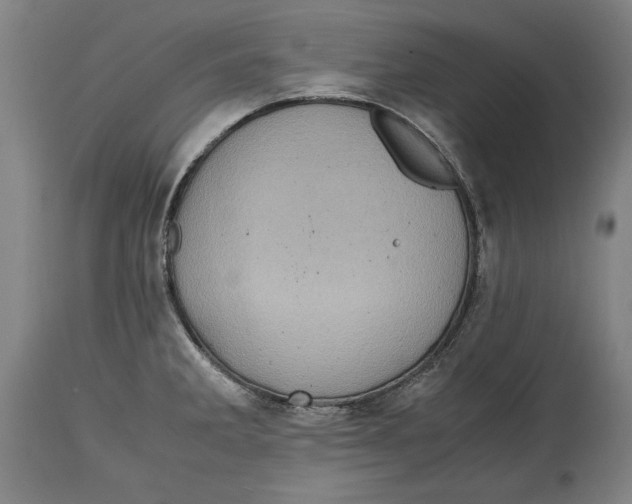 X0000114561285200911161215