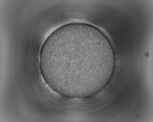 X0000114561287200911161215