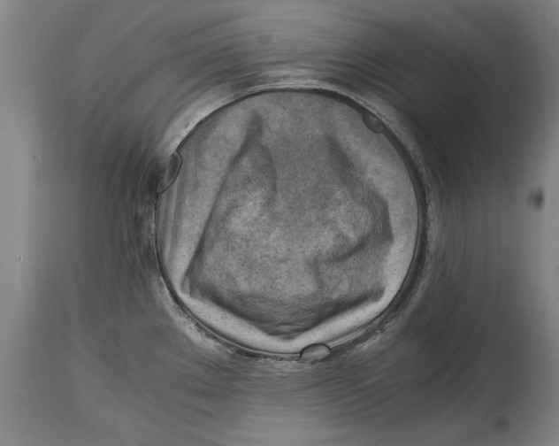 X0000114561289200911161215