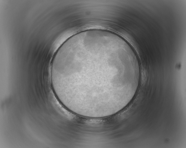 X0000114561290200911161215