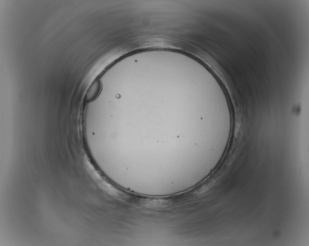 X0000114561293200911161215