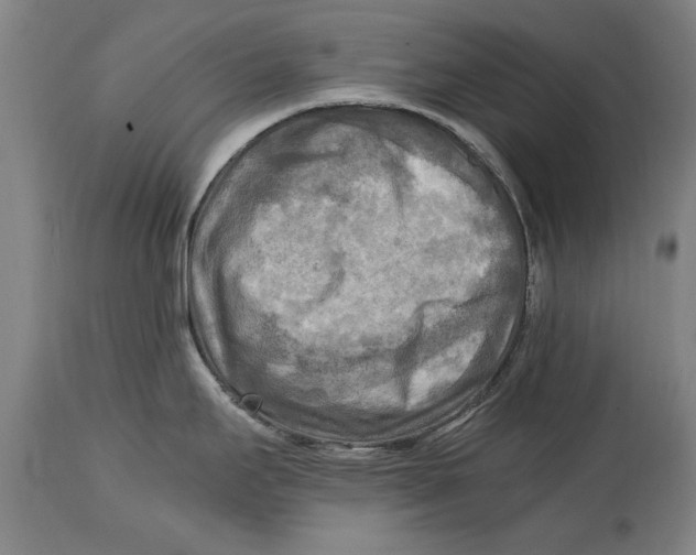 X0000114561295200911161215
