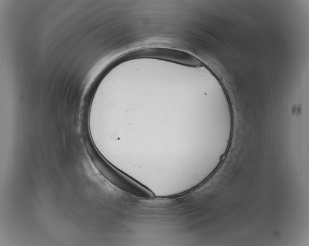 X0000114561296200911161215