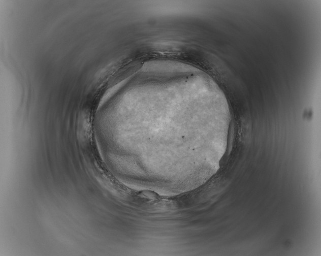 X0000114561298200911161214