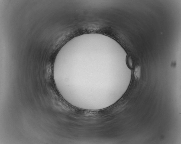 X0000114561299200911161214