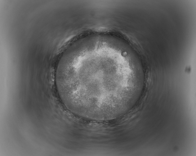 X0000114561301200911161214