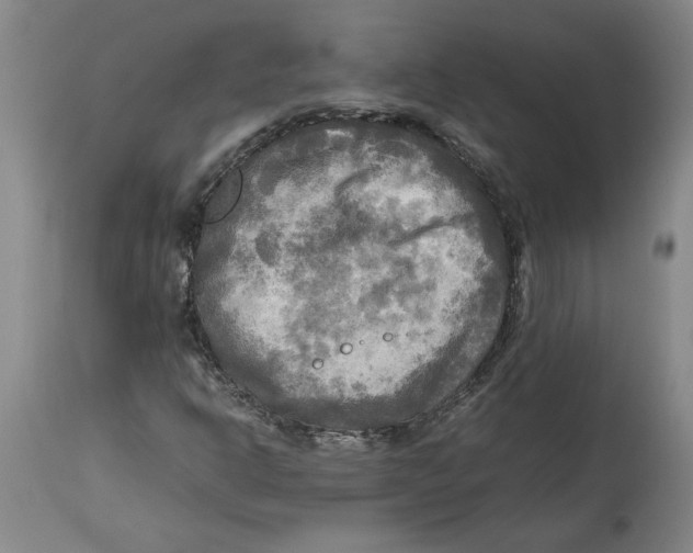 X0000114561302200911161214