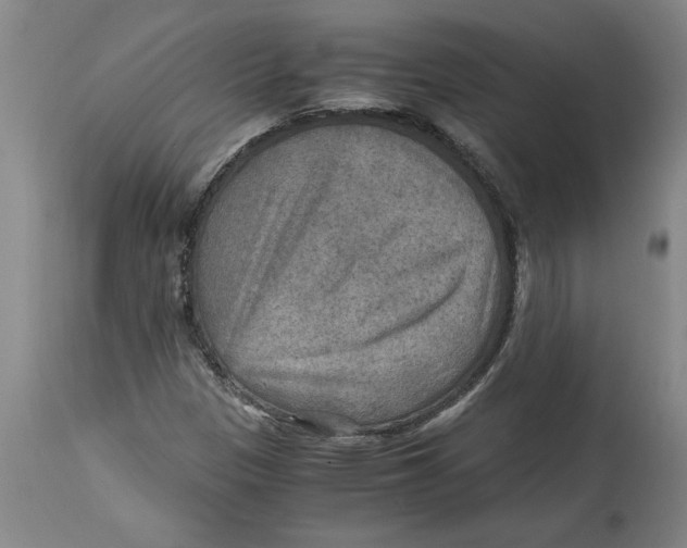 X0000114561305200911161214