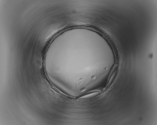 X0000114561306200911161214