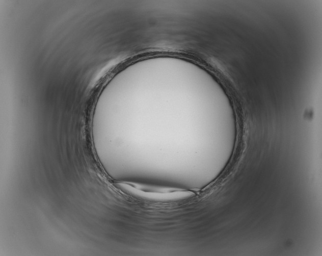 X0000114561307200911161214