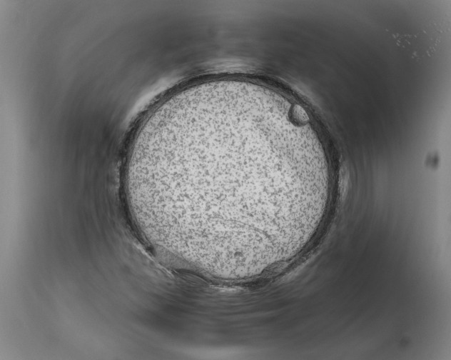 X0000114561309200911161214