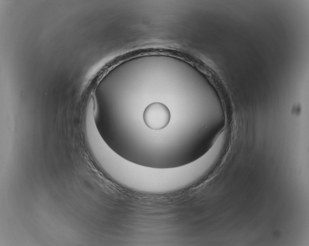 X0000114561310200911161214