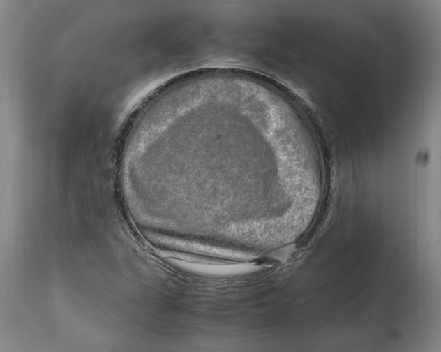 X0000114561311200911161214