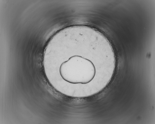 X0000114561314200911161214