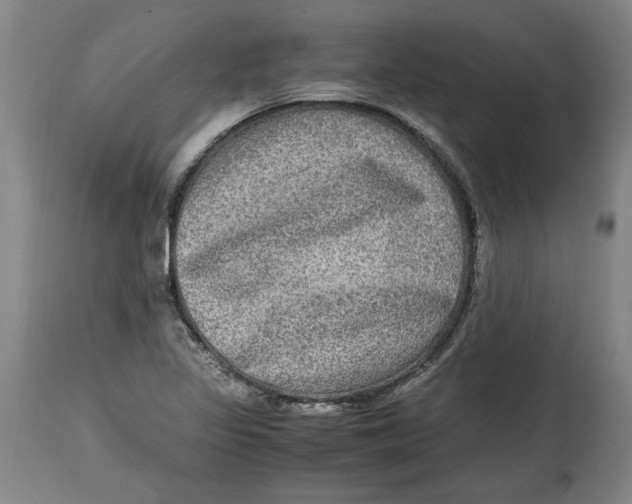 X0000114561317200911161214