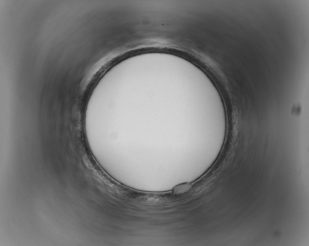 X0000114561318200911161214