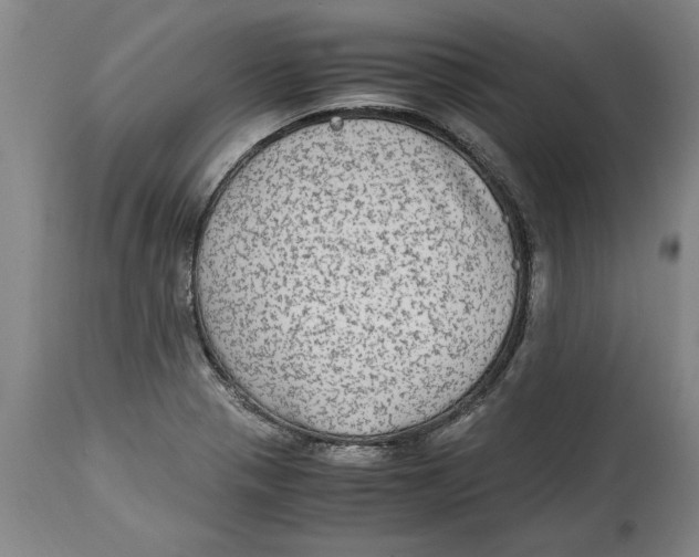 X0000114561321200911161214
