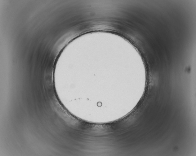 X0000114561322200911161214