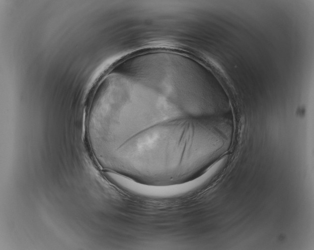 X0000114561323200911161214