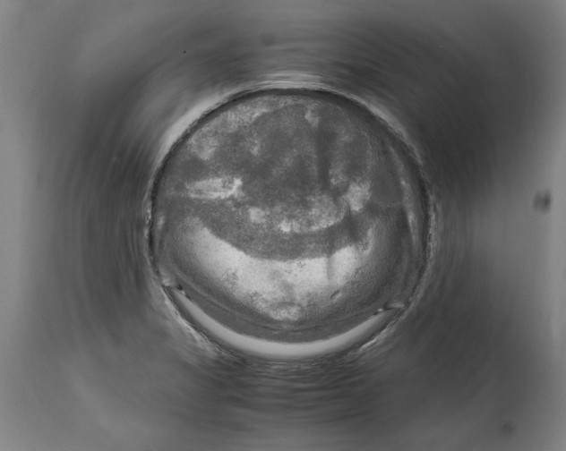 X0000114561325200911161214