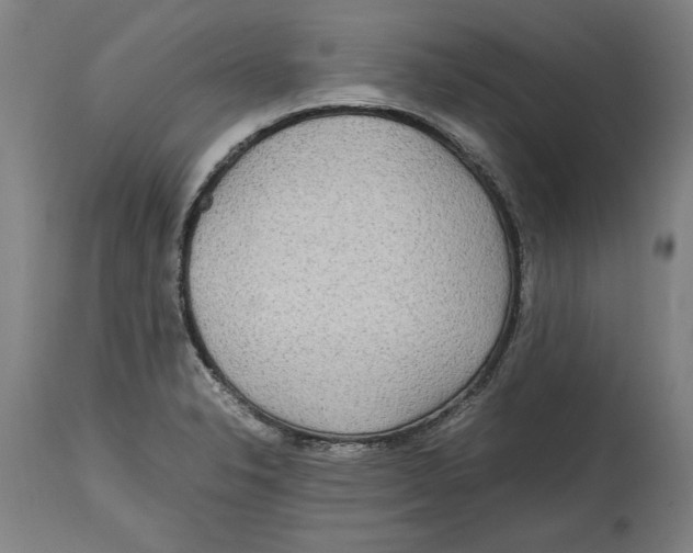 X0000114561326200911161214