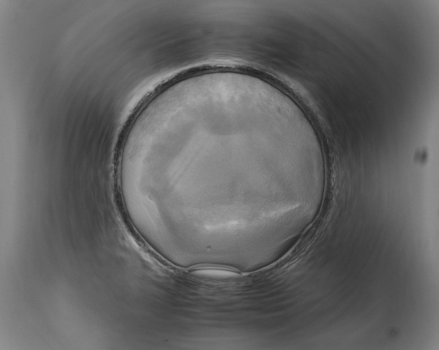X0000114561327200911161214