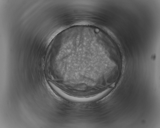 X0000114561329200911161214