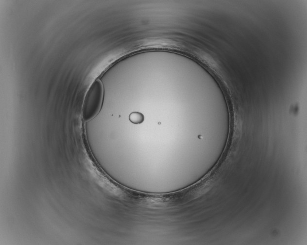 X0000114561330200911161214