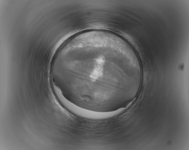 X0000114561331200911161214