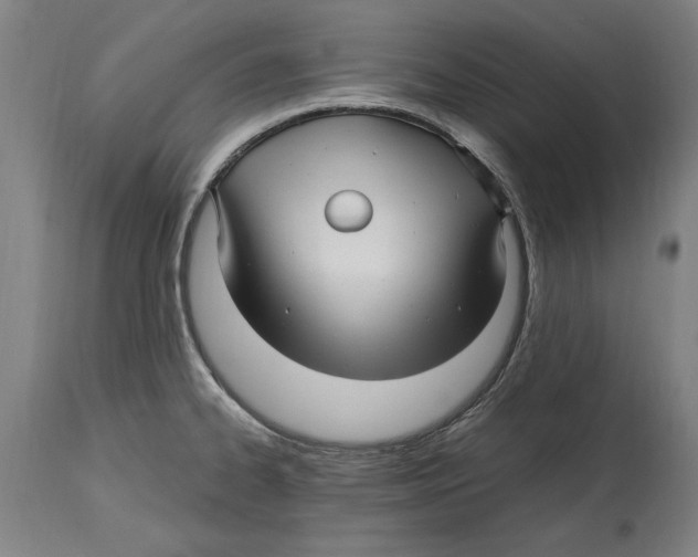 X0000114561334200911161214