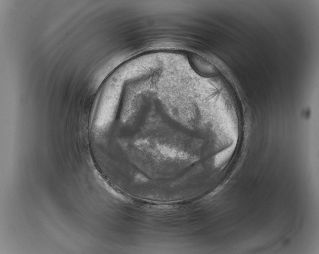 X0000114561337200911161215