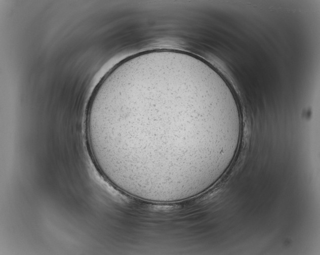 X0000114561339200911161215