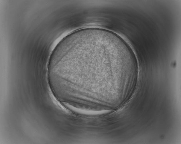 X0000114561341200911161215