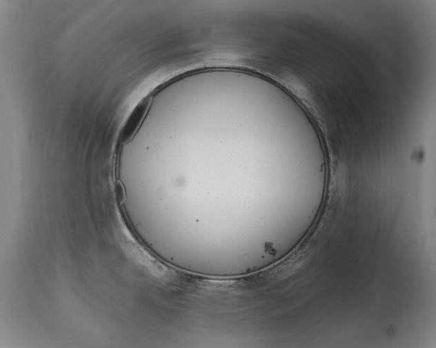 X0000114561342200911161215